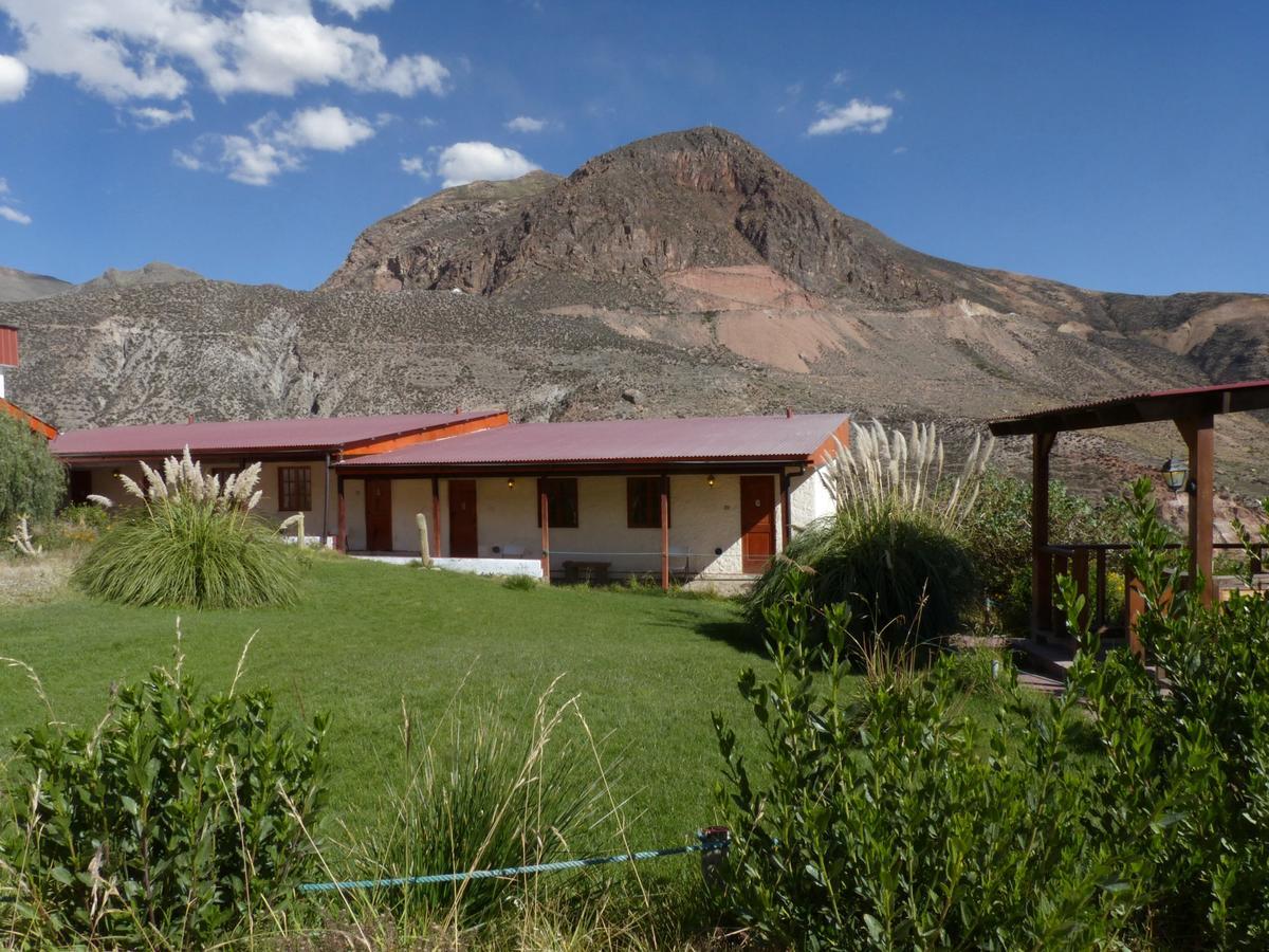 פוטרה Terrace Lodge מראה חיצוני תמונה